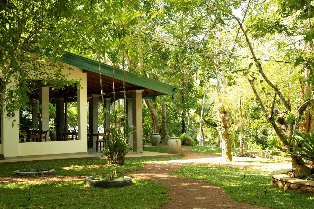 Villa Birdlake Хиккадува Экстерьер фото