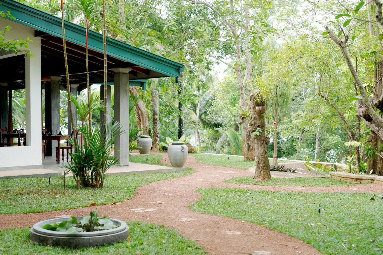Villa Birdlake Хиккадува Экстерьер фото