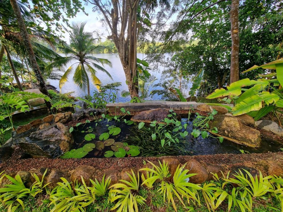 Villa Birdlake Хиккадува Экстерьер фото