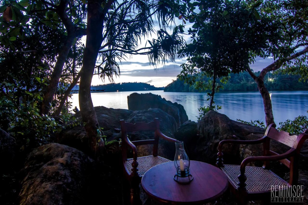 Villa Birdlake Хиккадува Экстерьер фото