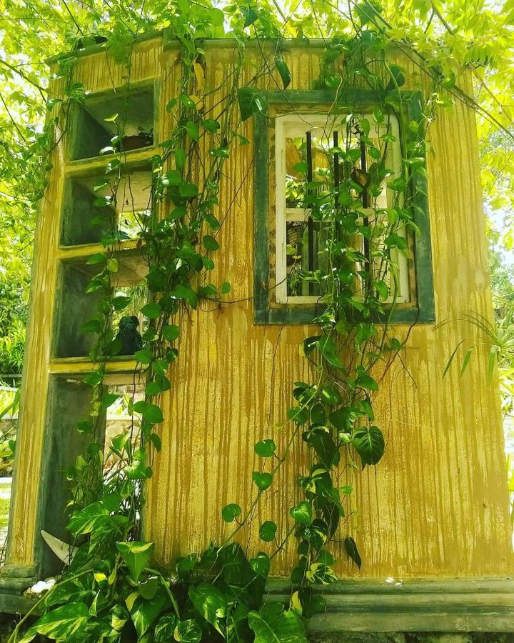 Villa Birdlake Хиккадува Экстерьер фото