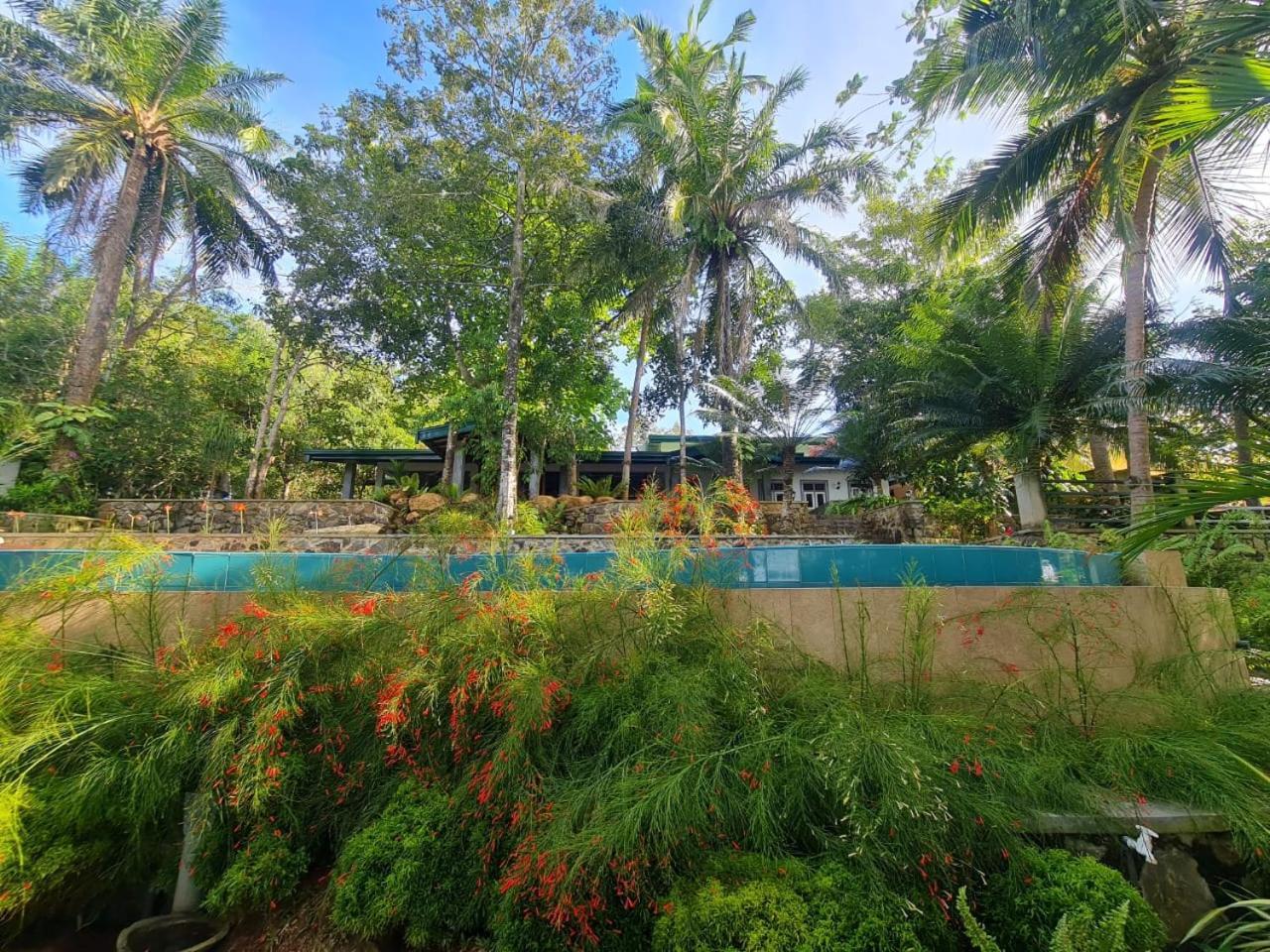 Villa Birdlake Хиккадува Экстерьер фото