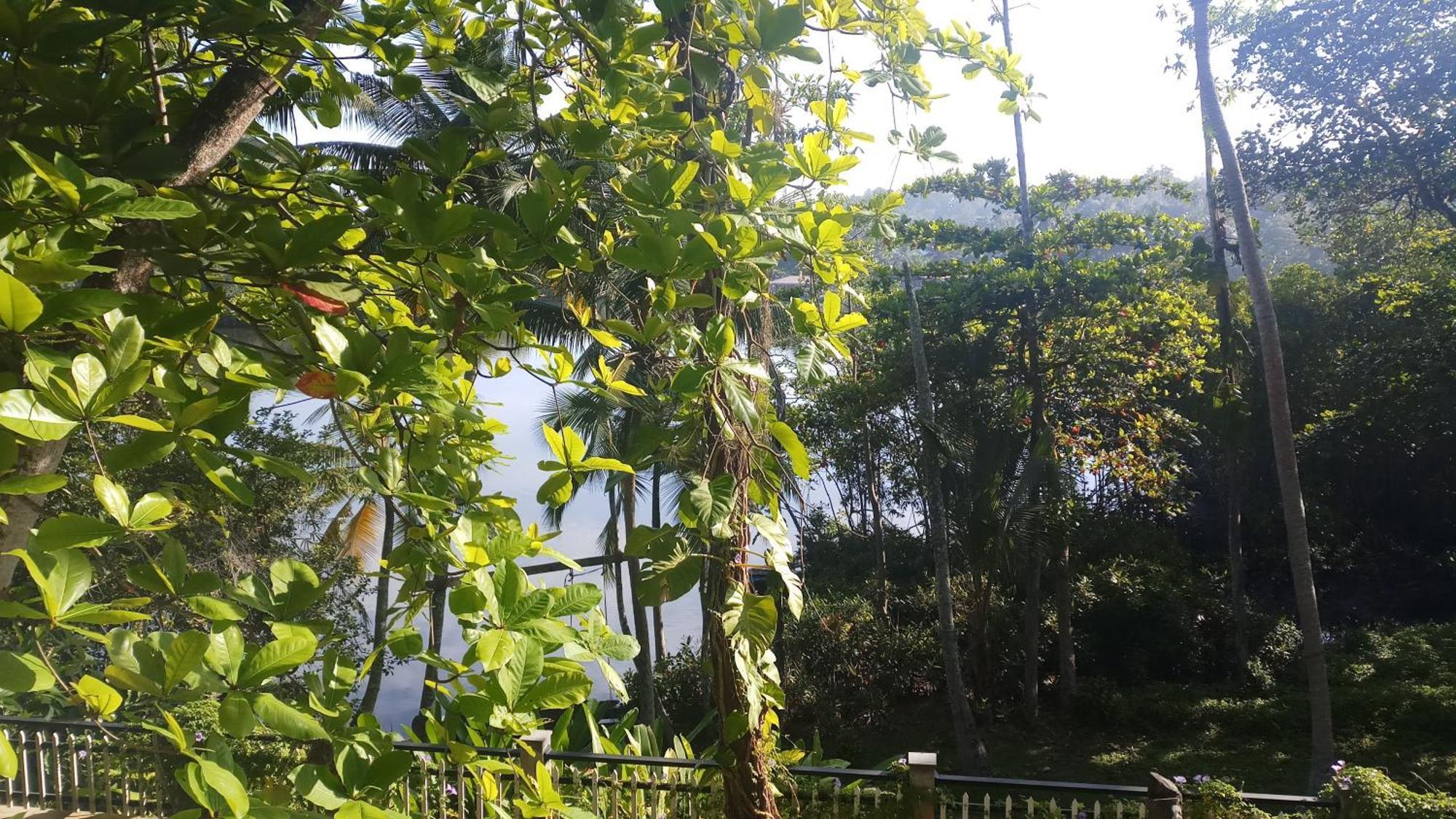 Villa Birdlake Хиккадува Экстерьер фото