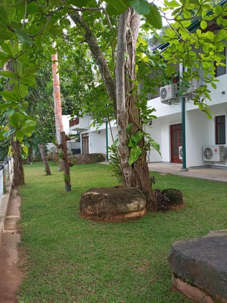 Villa Birdlake Хиккадува Экстерьер фото